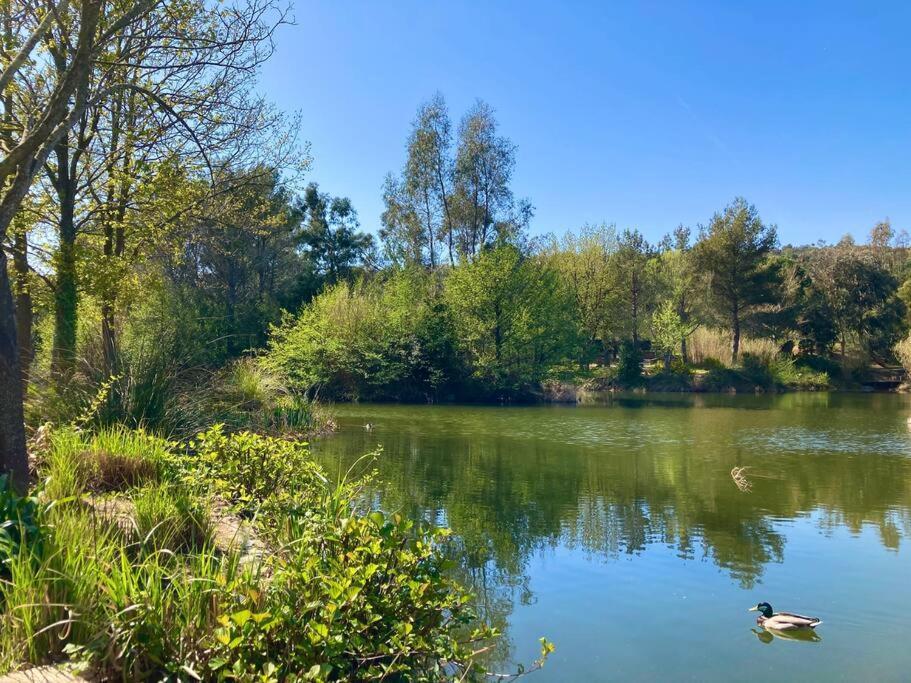 Les Restanques Maison 14 Chenes Grimaud Kültér fotó